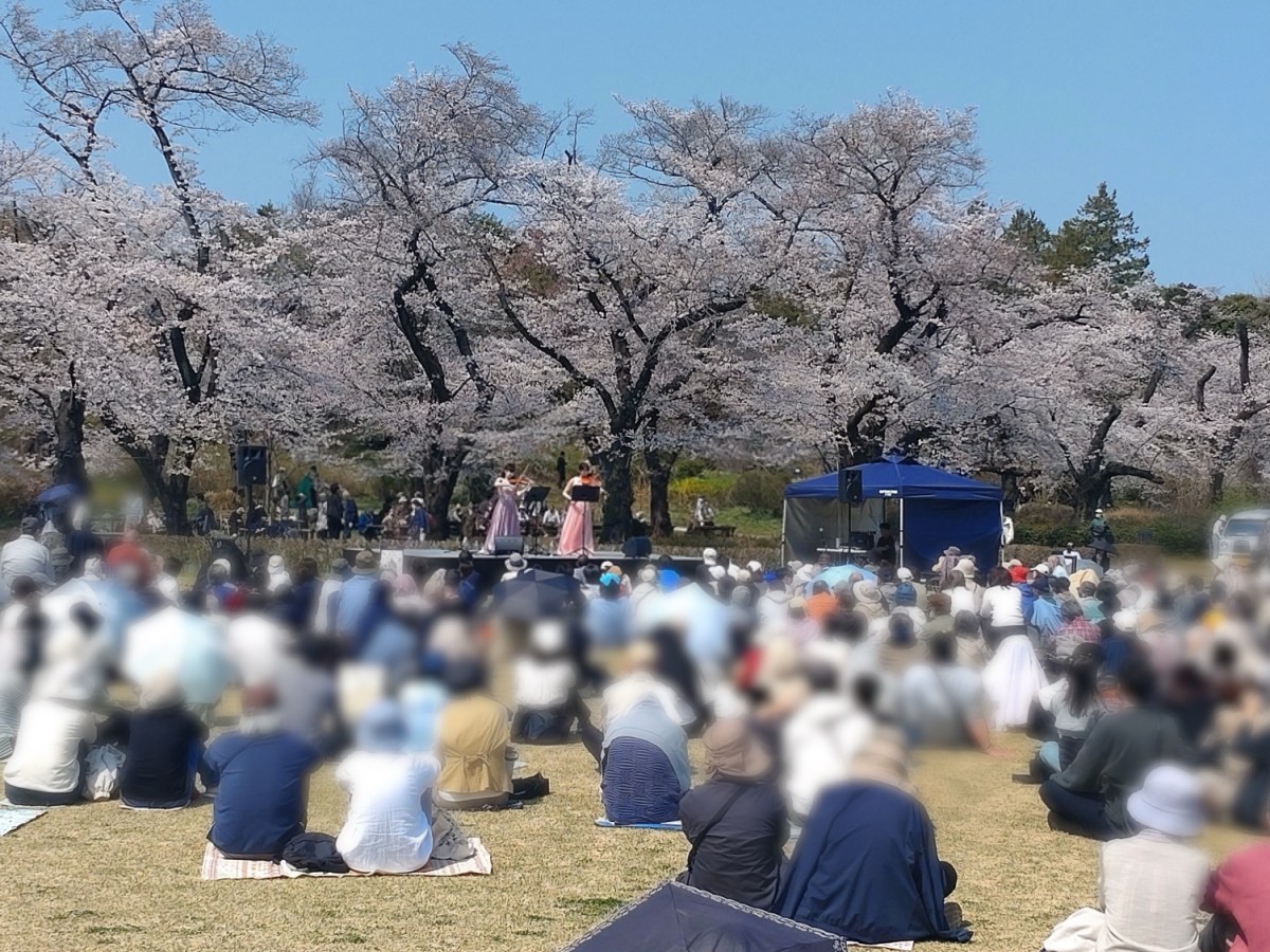 お久しぶりです♪